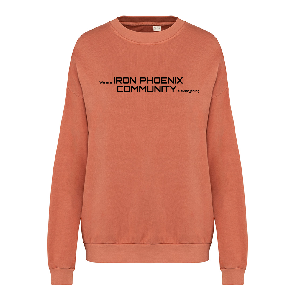 Iron Phoenix Oversized Sweatshirt - Community Print