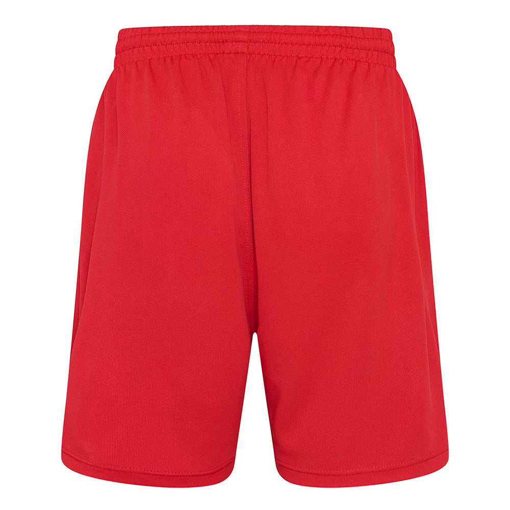 Mens gym shorts
