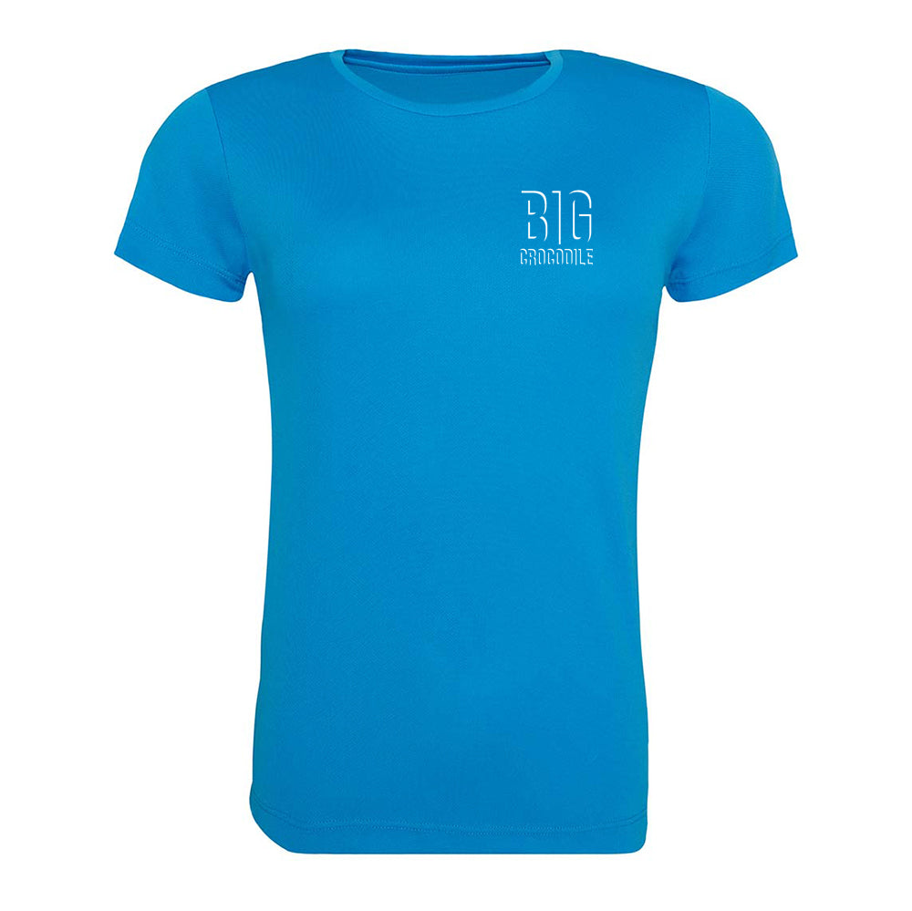 Sale Item - Ladies cut sports fabric t shirt - various prints